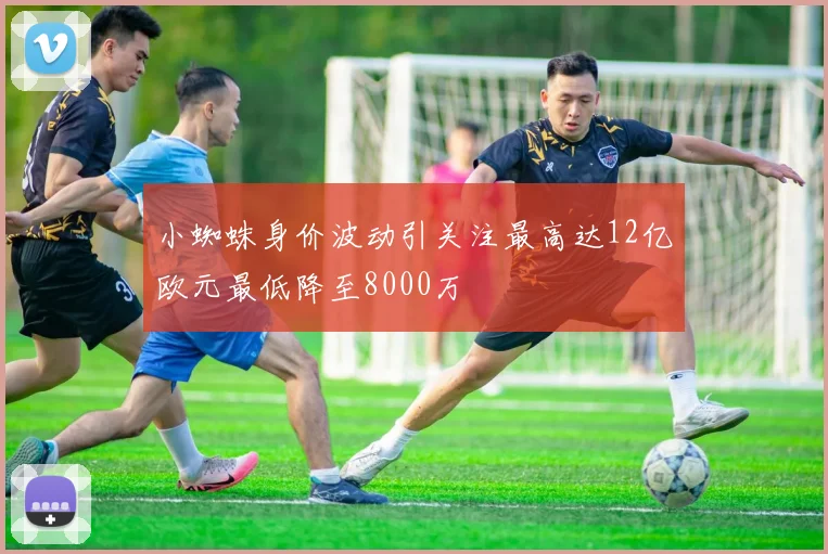 小蜘蛛身价波动引关注最高达12亿欧元最低降至8000万