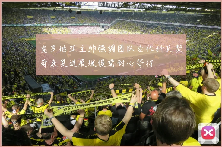 克罗地亚主帅强调团队合作科瓦契奇康复进展缓慢需耐心等待