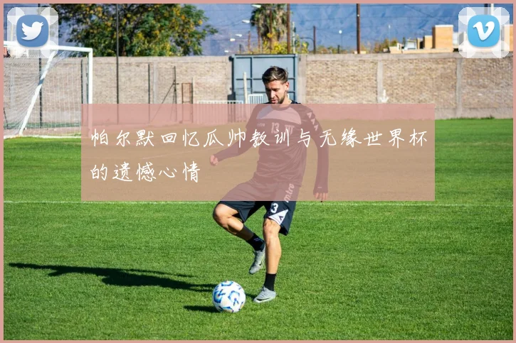 帕尔默回忆瓜帅教训与无缘世界杯的遗憾心情