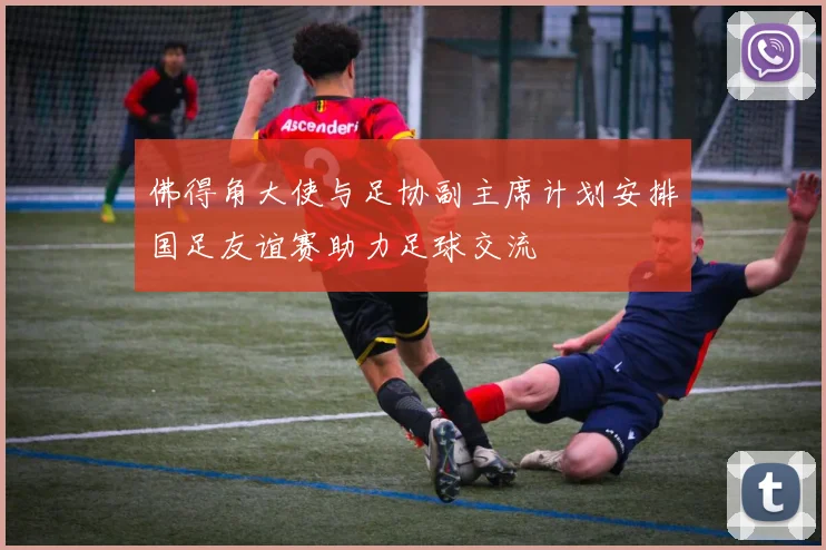 佛得角大使与足协副主席计划安排国足友谊赛助力足球交流