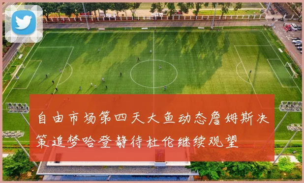 自由市场第四天大鱼动态詹姆斯决策追梦哈登静待杜伦继续观望